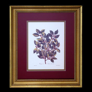 Framed Red Berry Lithograph - 1 of 2